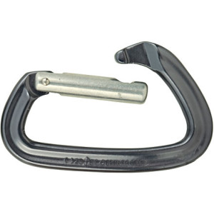 Black Diamond Positron Carabiner