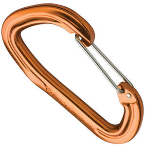 Black Diamond LiveWire Carabiner