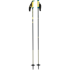 Fixed Length Carbon Ski Pole