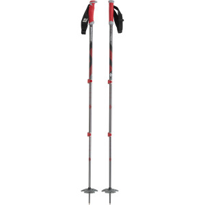 Expedition Ski Pole
