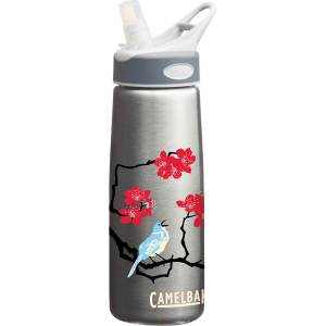 CamelBak Better Bottle - Stainless Steel - .75L - 2010