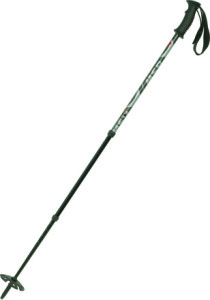 MSR Denali III Trekking Pole - 1 Pair
