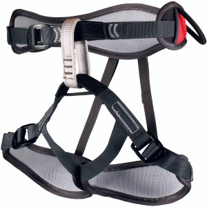Harlequin Harness