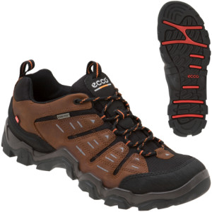 Ecco USA, Inc Manatee Lo GTX Hiking Shoe - Men's