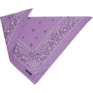 Bugsaway Paisley Bandana