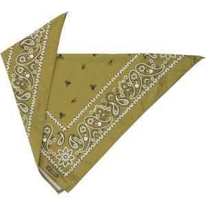 Bugsaway Paisley Bandana
