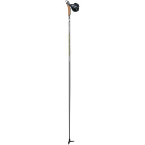 RC6 Quick Fit Ski Pole