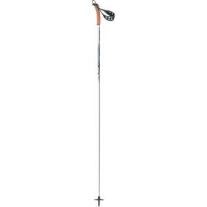 BCX Mountain Ski Pole