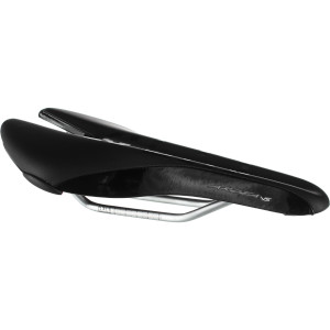 Ardea Versus Saddle