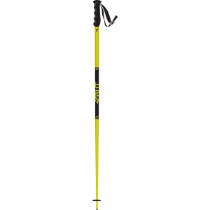 Dubs Ski Pole