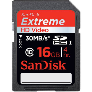 GoPro  SanDisk SD Card Class 10 - 2011