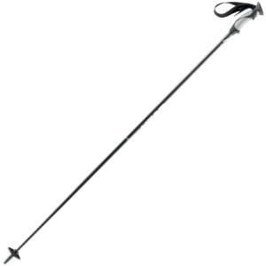 Head Skis USA I Carbon Ski Pole