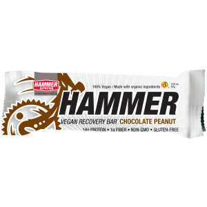 Click to Enlarge for Hammer Nutrition Vegan Recovery Bar Hammer Nutrition Vegan Recovery Bar -image