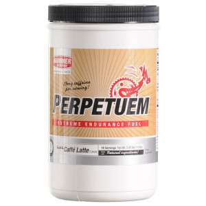 Perpetuem Endurance Fuel