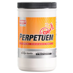 Perpetuem Endurance Fuel