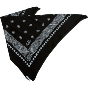 Icebreaker Bandana