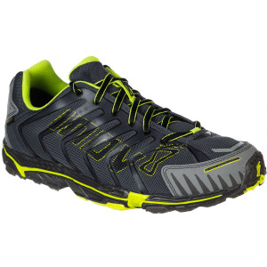 Terrafly 313 GTX Shoe - Men's