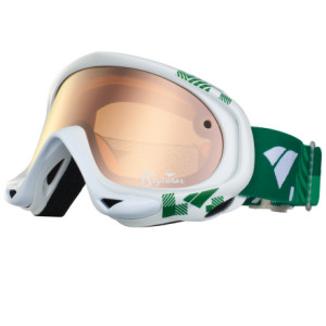 IS Eyewear Strike Mid Series Goggle w/Bonus Lens - 2009