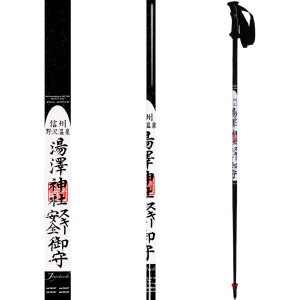 Joystick JP Pro Ski Pole
