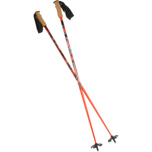 Donovan Ski Pole