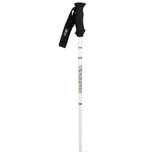 K2 2 Stroke Ski Pole