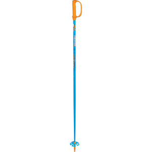 Consigliere Ski Pole