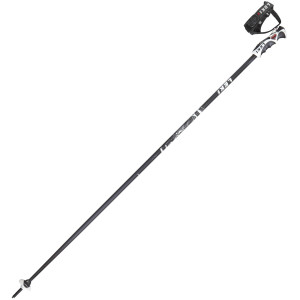 Project 19 S Ski Pole