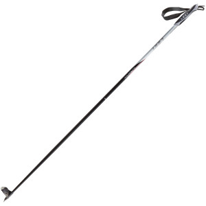 Lahti Ski Pole