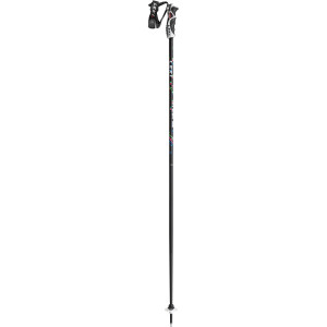 Project 18 S Ski Pole