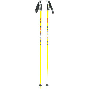 Blast Ski Pole