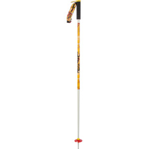 Line Dart Ski Pole