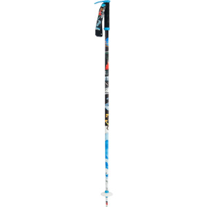 Pollard's Paint Brush Ski Pole
