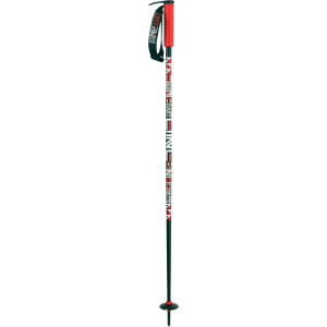 Dart Ski Pole