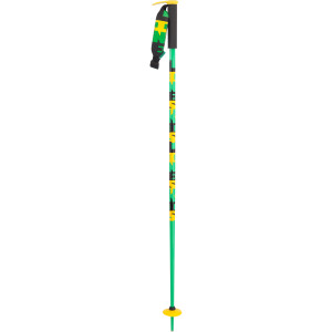 Pin Ski Pole