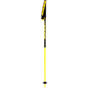 Tac Ski Pole