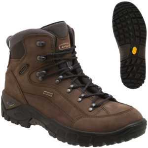 Lowa Renegade GTX Mid Hiking Boot - Men's