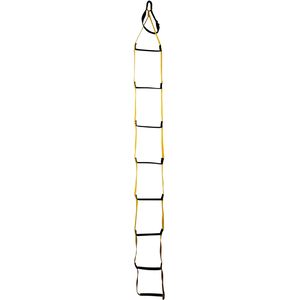 Ladder Aider 1