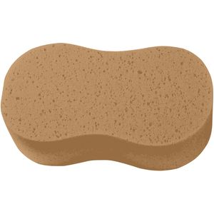 Boat Sponges
