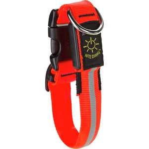 Nite Dawg LED Light-Up Dog Collar