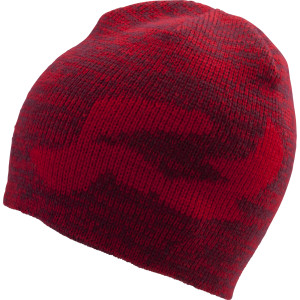 R Logo Beanie
