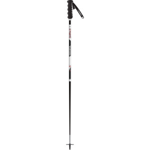 G 20 Ski Pole