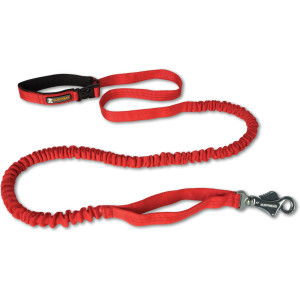 Roamer Leash