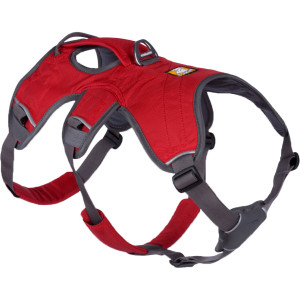 Web Master Dog Harness