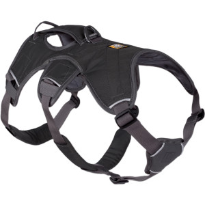 Web Master Dog Harness