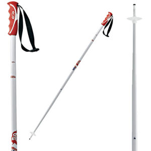 Salomon Teneighty Ski Pole