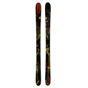 Salomon Dumont Ski