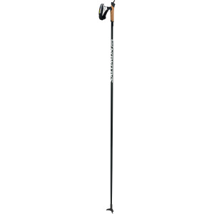 Equipe 60 Carbon Ski Pole