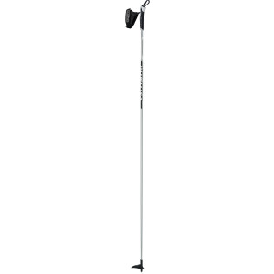 Active Ski Pole