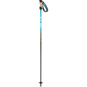 BBR 10 Ski Pole
