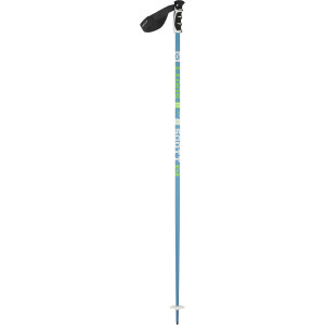 Team Issue Ski Pole